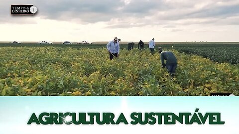 Agricultura Sustentável: Com Frederico Olivi.