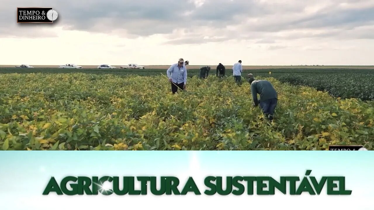 Agricultura Sustentável: Com Frederico Olivi.