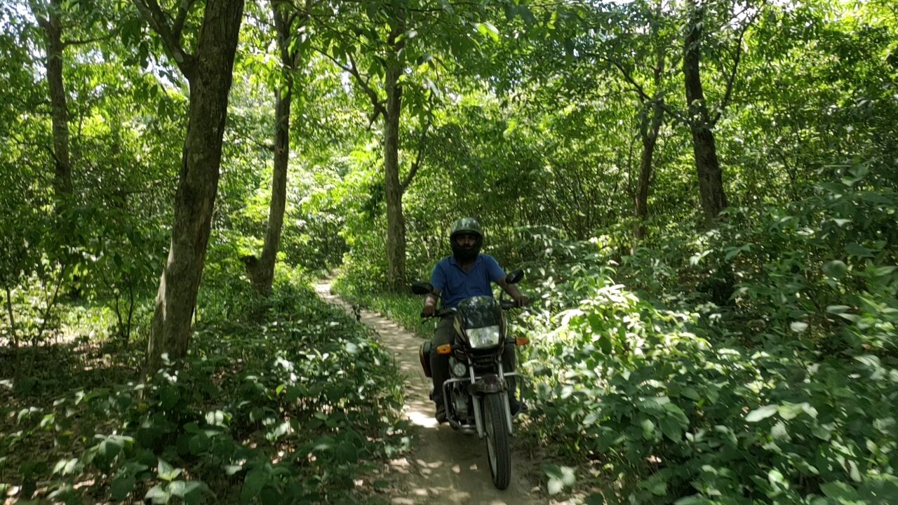 Bike Riding in Forest