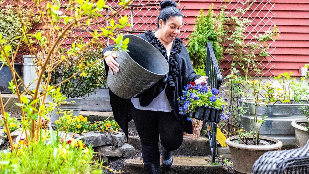 Hellebore Cleanup in the Secret Garden // Best Garden Boots