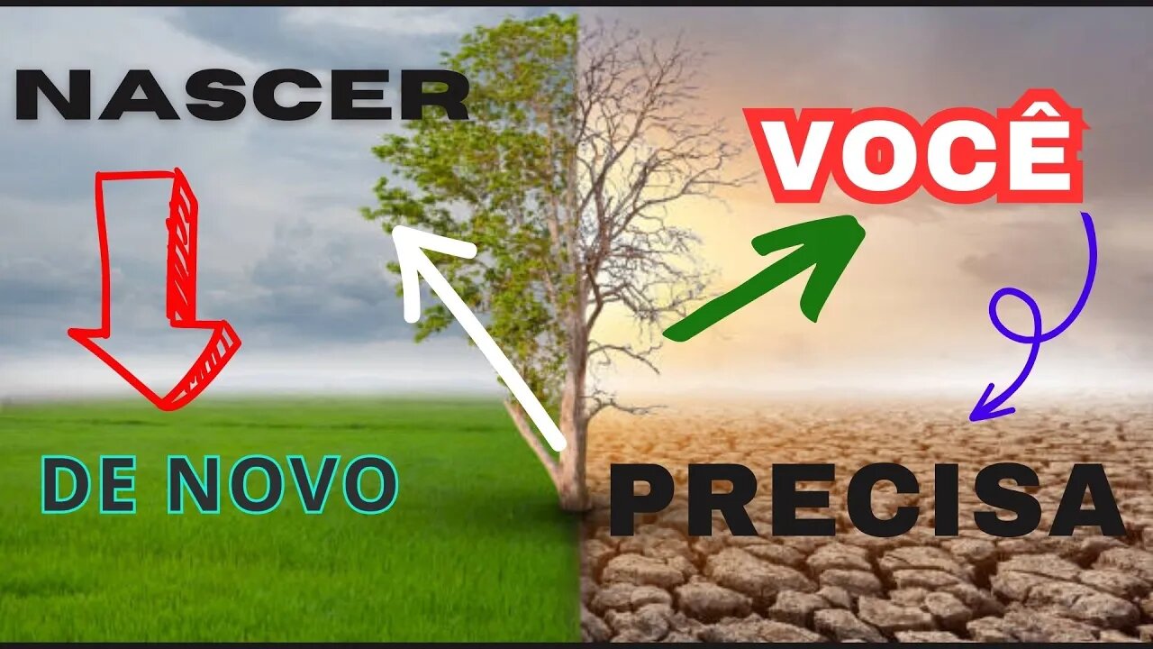VOCE PRECISA NASCER DE NOVO // PARE DE BATER BOCA COM O MUNDO