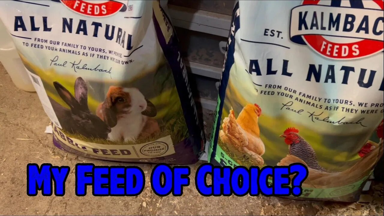 My Choice of Animal Feed