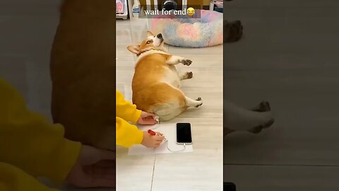 Wait For End 😂😂😂😂