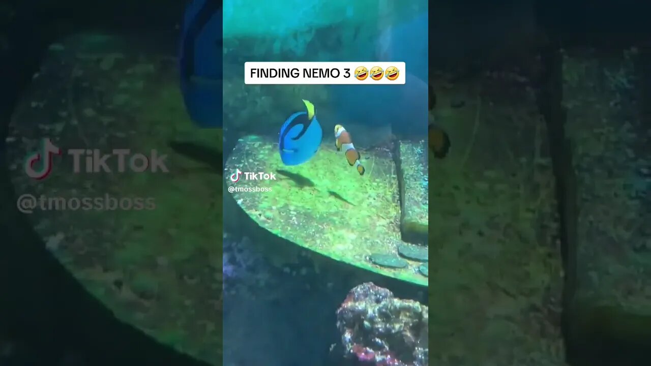 FINDING NEMO 3 VOICEOVER! 😂😂😂