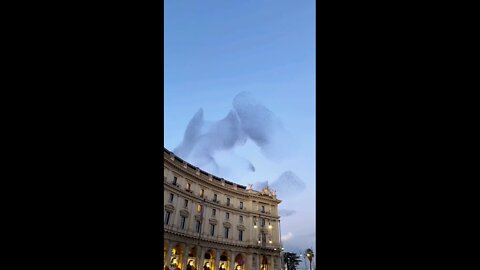 A swarm of murmuring starlings in Italy