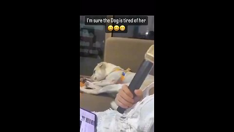 Dog has had enough😭