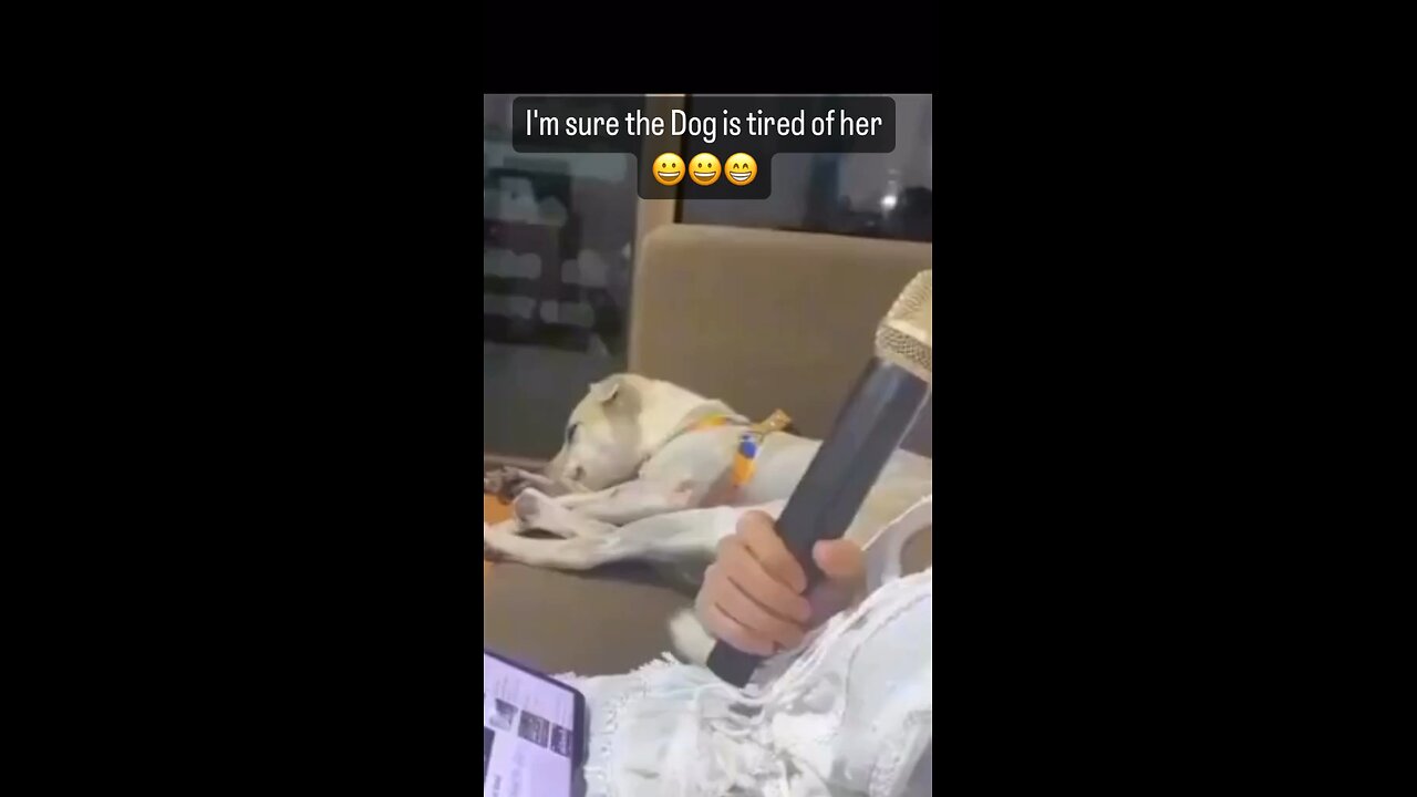 Dog has had enough😭