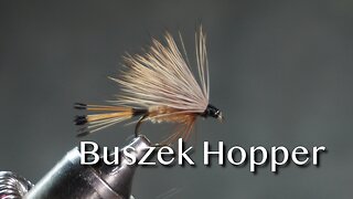 Buszek Hopper