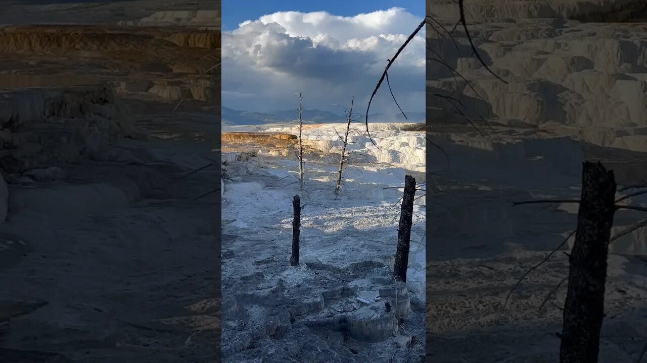 Travertine hot springs #yellowstone #hotspring #mammoth #nationalpark