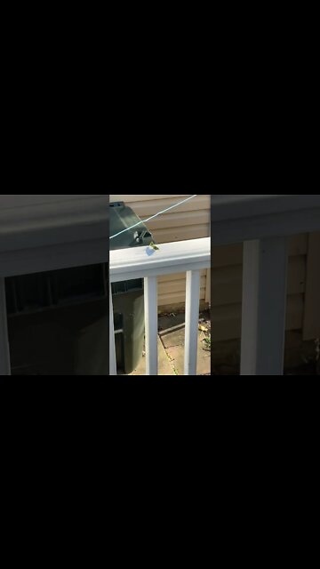 @Theindoorfarmer #grass #hopper #podcast #farmer