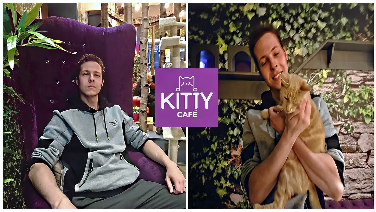 BwolfTheWolf: Kitty Café In Leeds (2018)