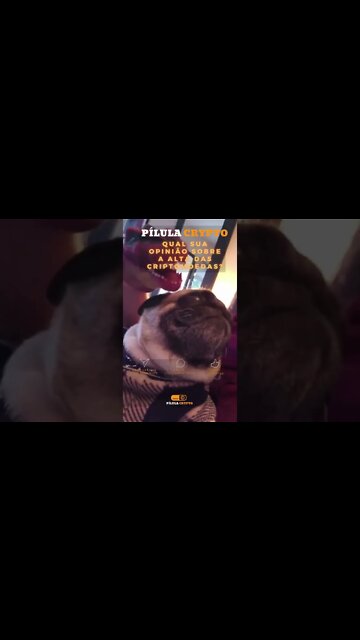 CRIPTOMOEDAS em alta, qual sua opinião? #shorts