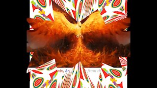 I'm not the phoenix, but I reborn from ashes! [Quotes and Poems]