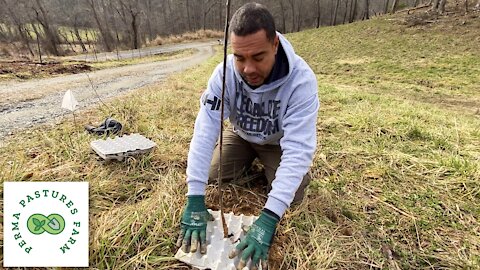 Expanding The Permaculture Orchard