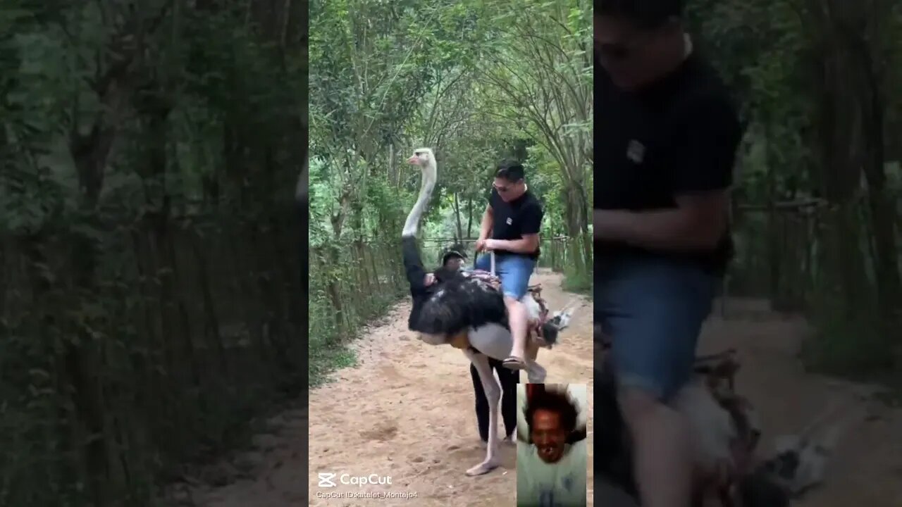 Ito nalang sakyan natin Wala pang gasoline