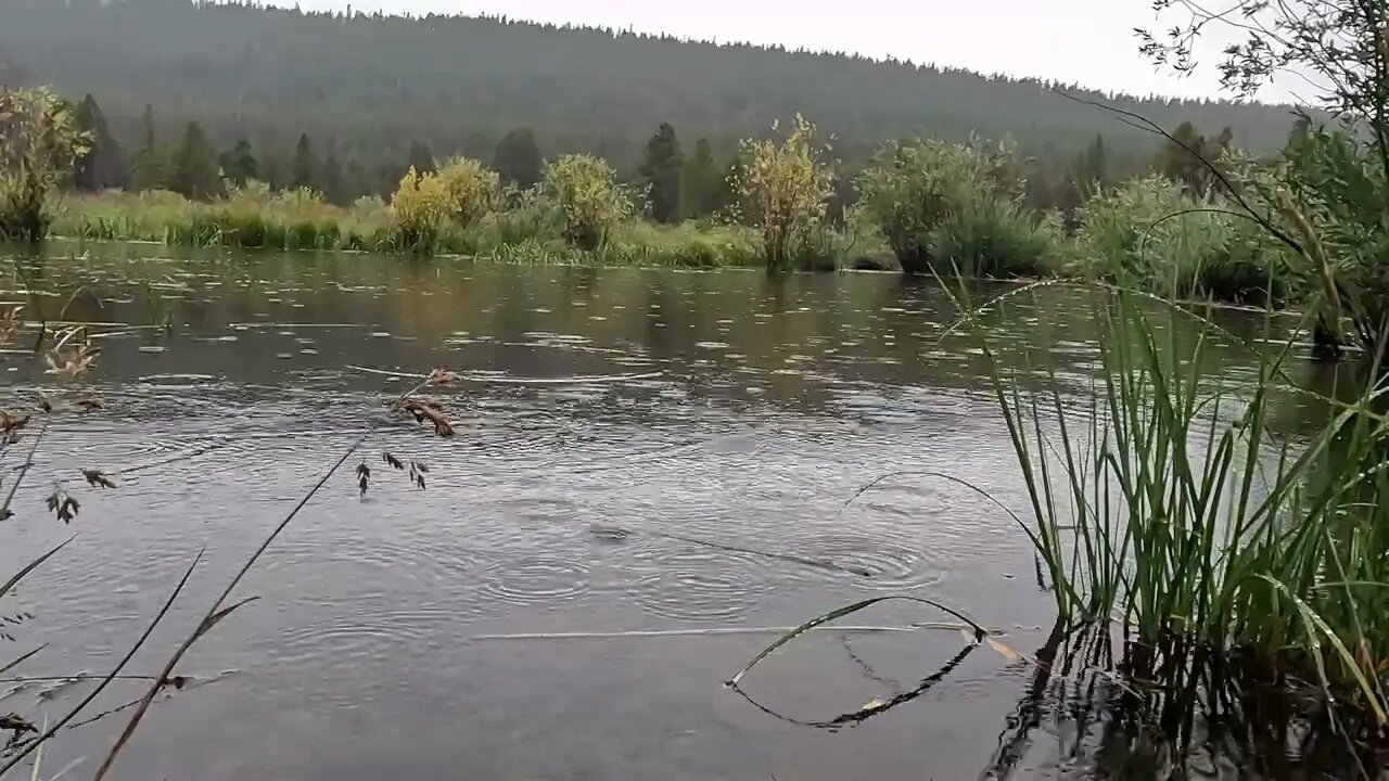 Rocky Mountain Rain