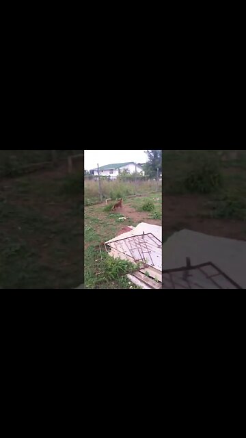 Life in the fastlane