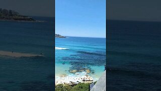 Australia day Bondi #shorts #short #australia #omg #beach #beautiful #sea #travel