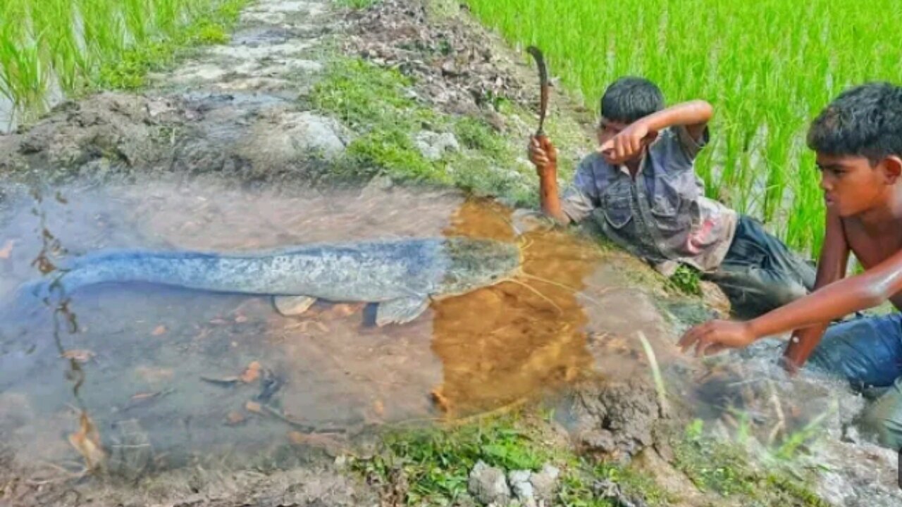 Kids catching big fish! Unbelievable fishing video