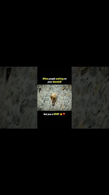 Can’t stop, won’t stop! 💯💯 #shorts #short #shortsvideo #youtubeshorts #youtube #viral #subscribe