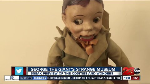 George The Giant's Strange Museum of Oddities and Wonders