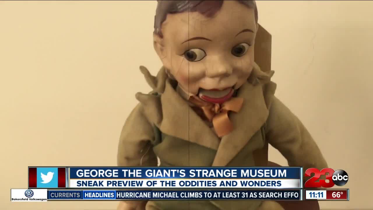 George The Giant's Strange Museum of Oddities and Wonders