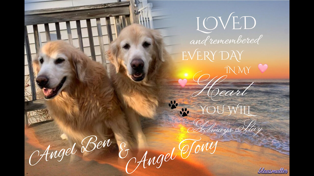 Hearts of Gold Memorial Day 2021