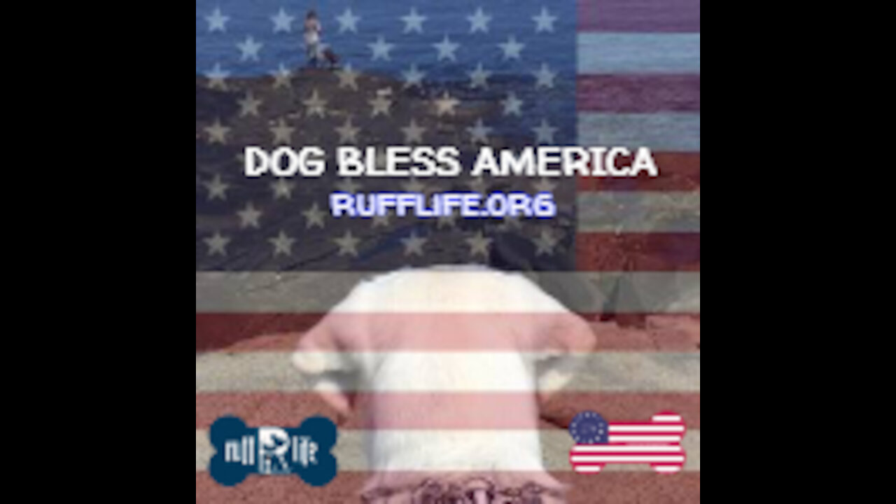 Dog Bless America 9-13-21