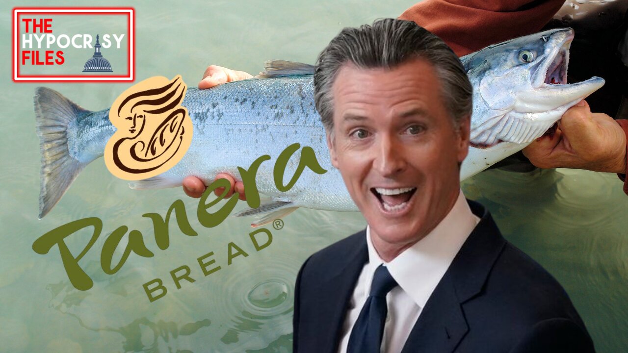 Gavin Newsom, Salmon, & Panera Bread