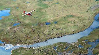 Trump Administration Selling Drilling Rights for Wildlife Refuge