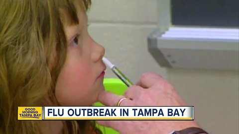 Flu spreading in Tampa Bay area