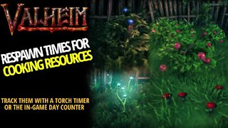 Respawn Times For Cooking Ingredients - Valheim