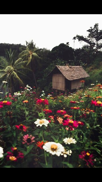 Today we’re just floating.