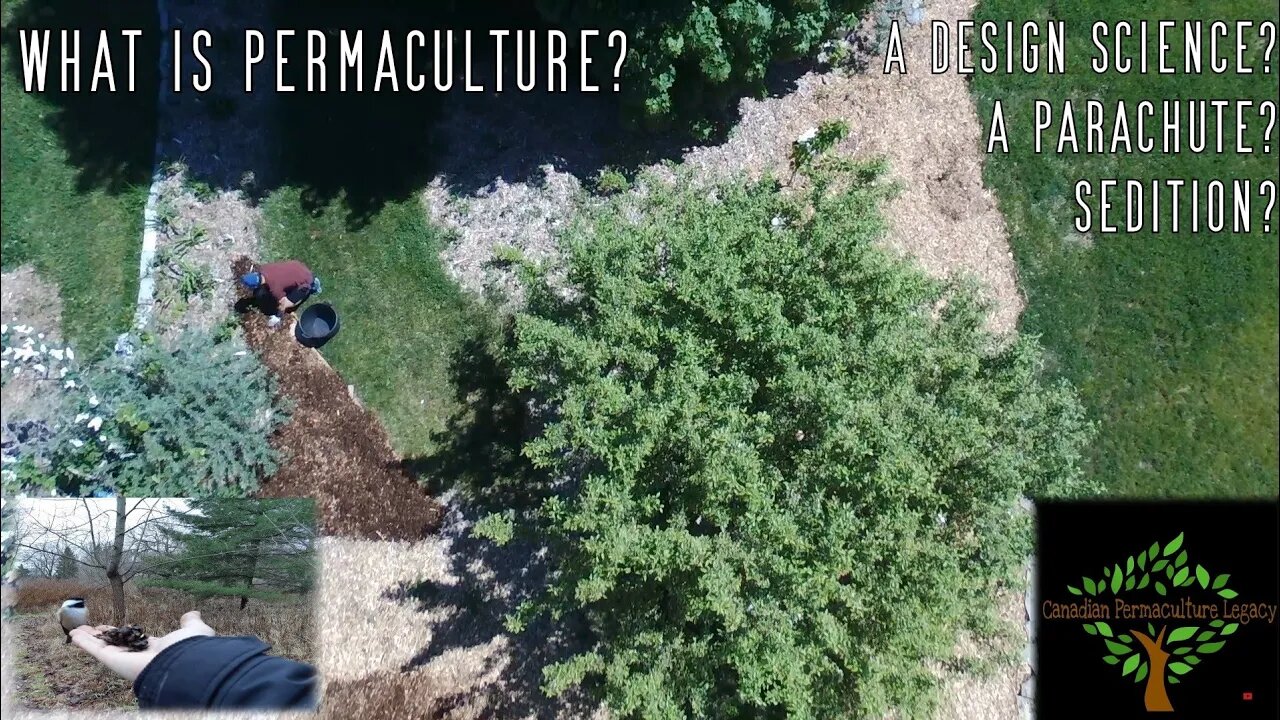 What is permaculture?