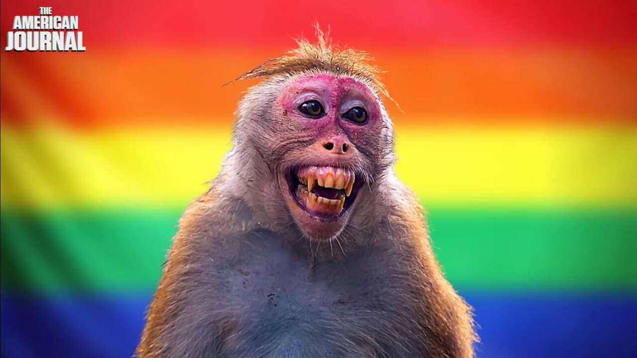 Monkeypox Is Gay