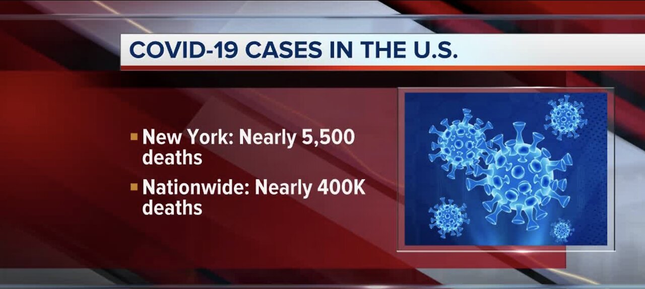 COVID-19 cases in the United States