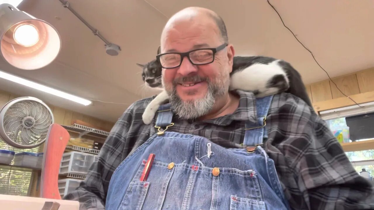 Finishing the mini skinner while wearing a cat