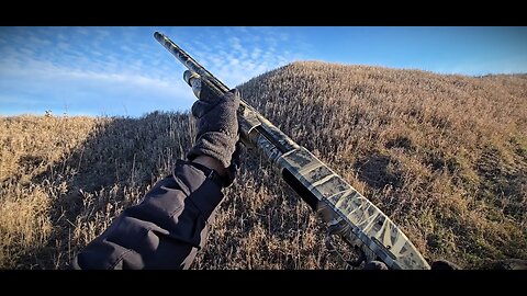 Mossberg 835 Ulti-Mag | FPS View