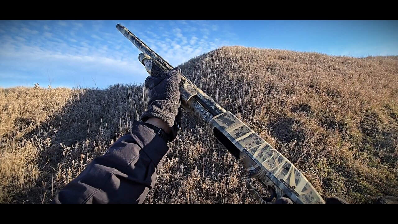 Mossberg 835 Ulti-Mag | FPS View