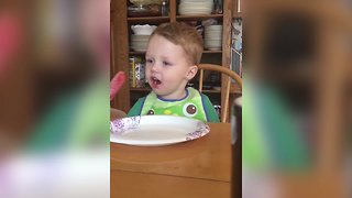 Frog Food Debate
