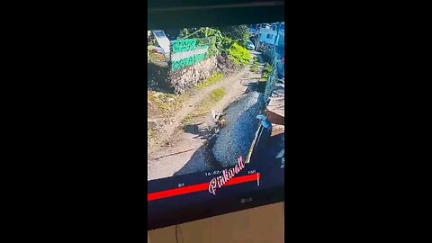 goat thief video in