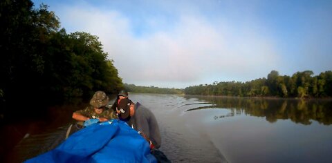 EM BUSCA DE OURO NA SELVA AMAZONICA