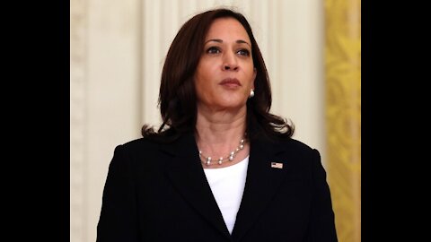 VP Harris' Leadership in Question Amid Departures