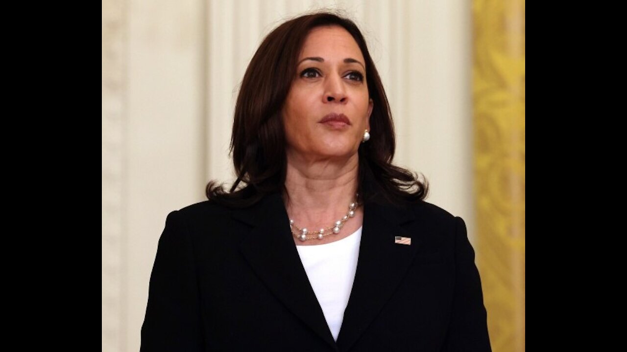 VP Harris' Leadership in Question Amid Departures