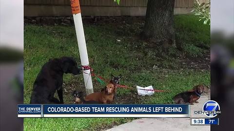 A Colorado pet rescue national disaster response team is headed to Florida