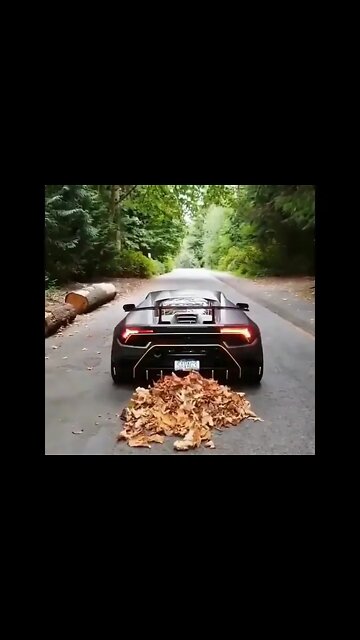 Rate This Lambo Sound! #motorium #ytshorts #shorts #vehicles #luxuryvehicles #bikes