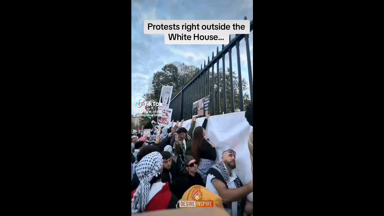 Pro Palestine protest outside White House