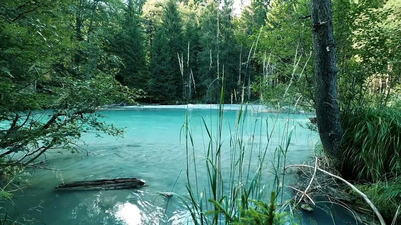放鬆的心靈音樂|Relaxing Music • Sleep Music,Relaxing Music, Meditation Music★48