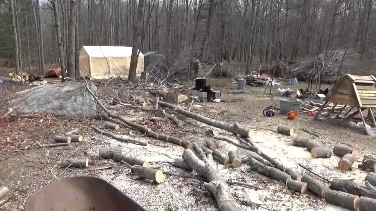 Cutting Logs & Cleaning Up In Front Of My Off Grid Tiny Home