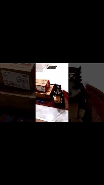 Who Said Puppies Can't Be Funny? Find Out Now!